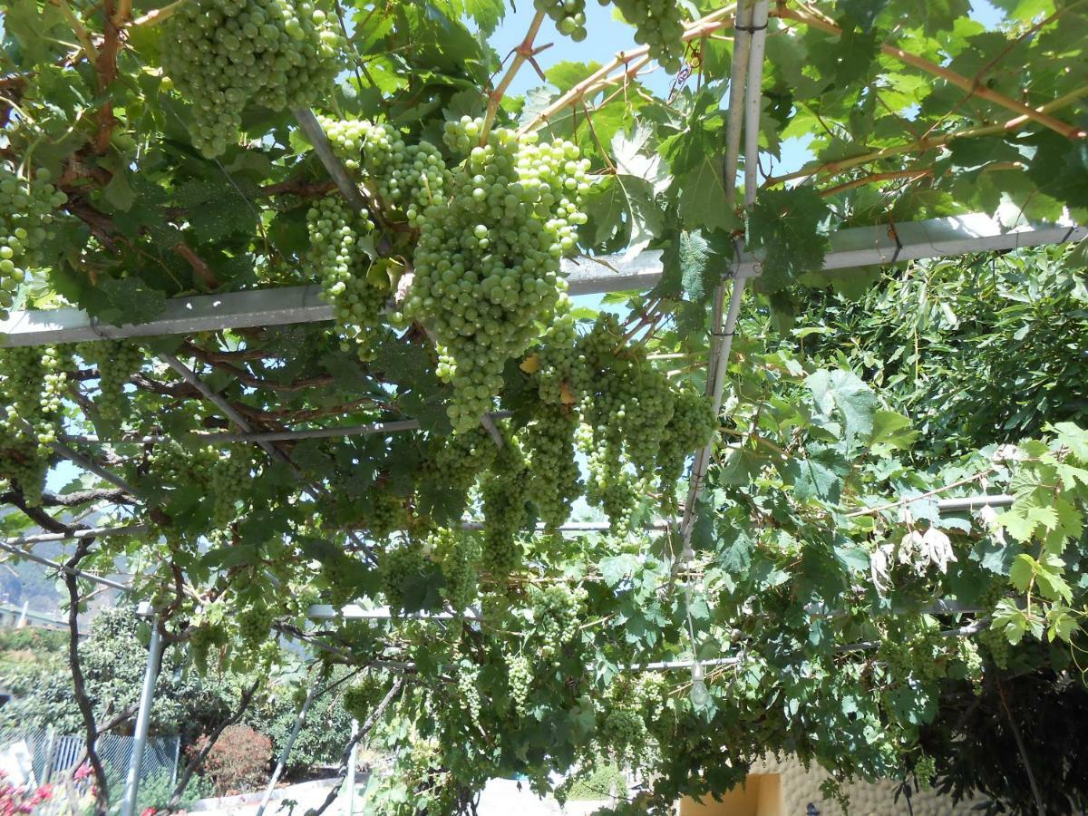 Casitas Las Uvas Y Las Vinas لوس رياليخوس المظهر الخارجي الصورة