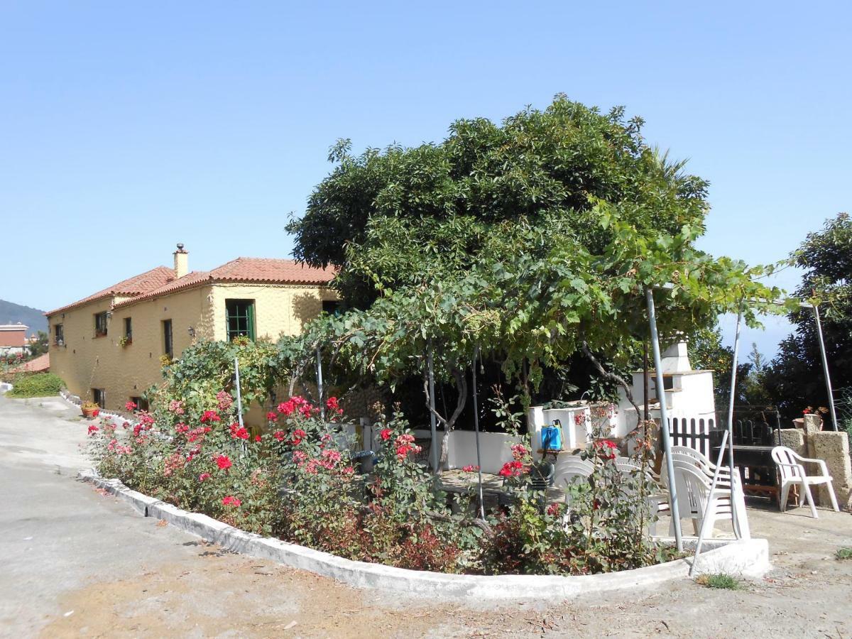 Casitas Las Uvas Y Las Vinas لوس رياليخوس المظهر الخارجي الصورة